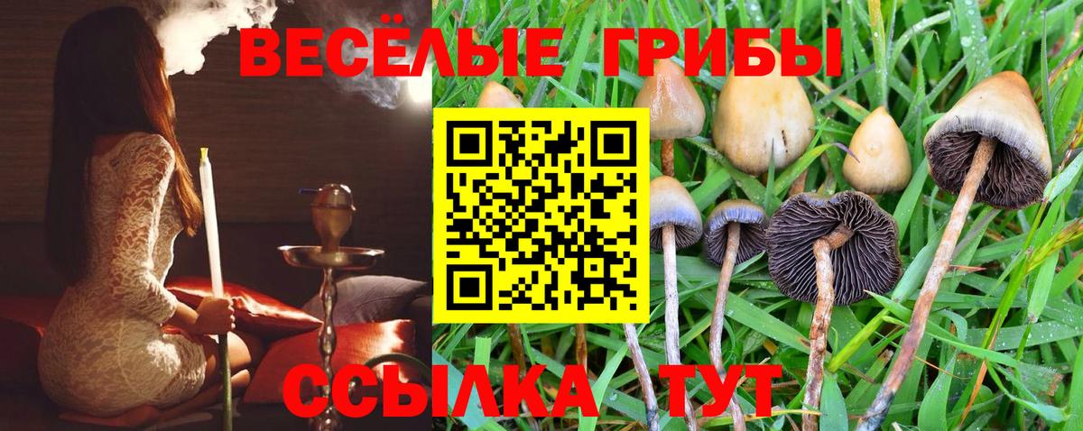 Каменск-Уральский  Галлюциногенные грибы Psilocybe  Вход с VPN  Псилоцибиновые грибы ЛСД 